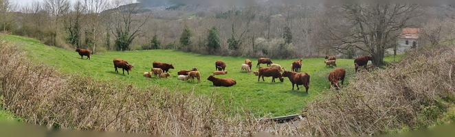 PANO 20190415 152804.vr